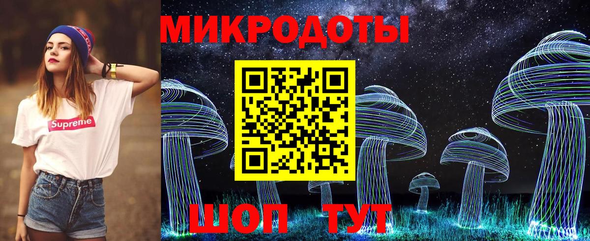 Кириши  Галлюциногенные грибы MAGIC MUSHROOMS  Вход с VPN  Псилоцибиновые грибы Psilocybe 